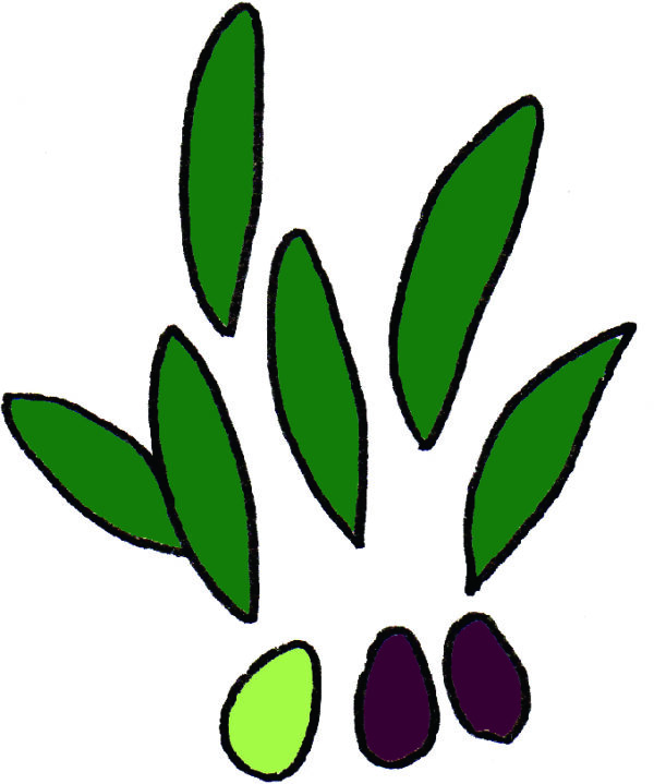 オリーブのイラスト
