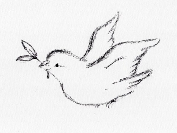鳩とオリーブ