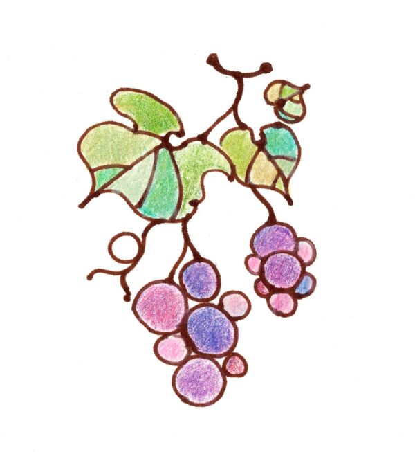 キリスト教イラスト素材　ぶどう