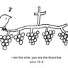 ヨハネ１５章５節　わたしはぶどうの木